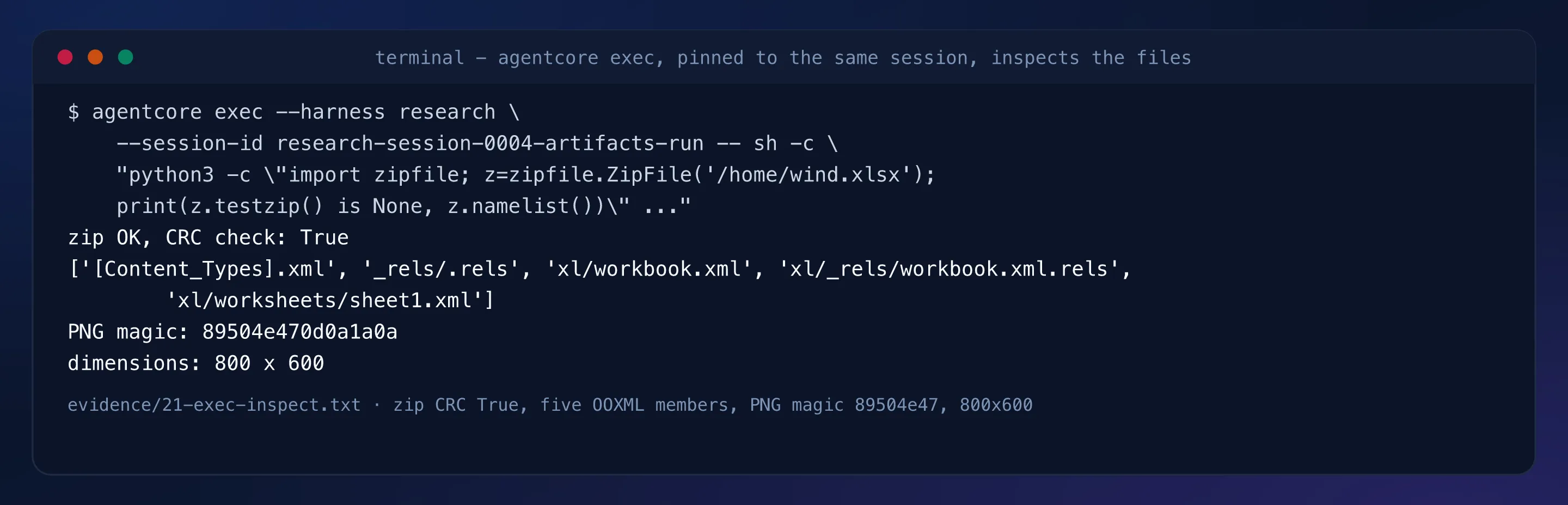 Terminal capture: zip CRC check True with the five OOXML members listed, PNG magic 89504e470d0a1a0a, dimensions 800x600